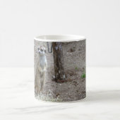 Meerkat Koffiemok (Center)