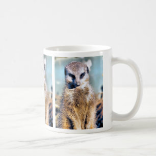 MEERKAT KOFFIEMOK