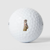 Meerkat - Kunststijl Pop en geposterized Golfballen (Voorkant)
