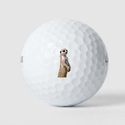 Meerkat - Kunststijl Pop en geposterized Golfballen (Voorkant)
