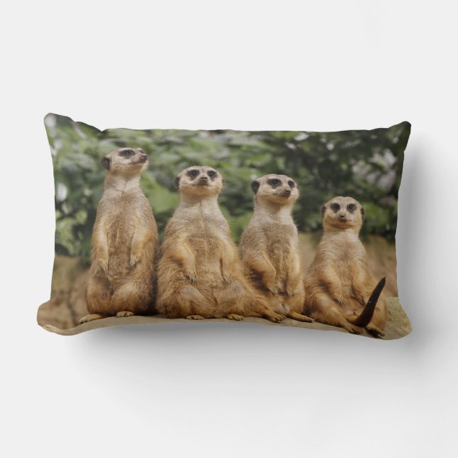 Meerkat-Kwartet 001 Kussen (Voorkant)