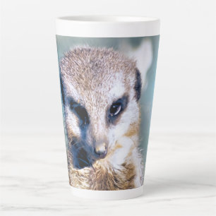 MEERKAT Latte-Mok Latte Mok