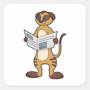 Meerkat leest een krant vierkante sticker