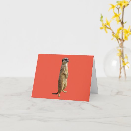 Meerkat Lege Kaart (Gele Bloem)