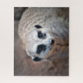 Meerkat Legpuzzel (Verticaal)