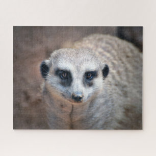 Meerkat Legpuzzel