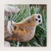 Meerkat Legpuzzel (Horizontaal)