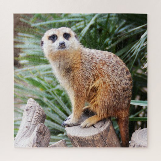 Meerkat Legpuzzel (Verticaal)