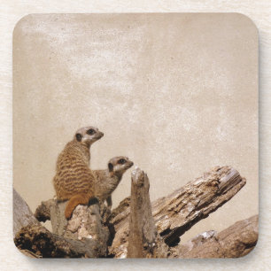 Meerkat Lookout Bier Onderzetter