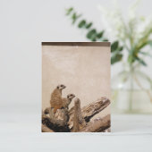 Meerkat Lookout Briefkaart (Staand voorkant)