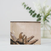 Meerkat Lookout Briefkaart (Staand voorkant)