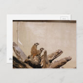 Meerkat Lookout Briefkaart (Voorkant / Achterkant)
