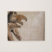 Meerkat Lookout Legpuzzel (Horizontaal)