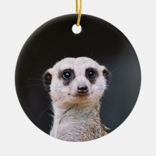 Meerkat Lookout Ornament (Voorkant)