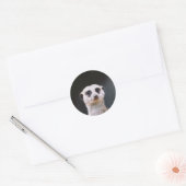Meerkat Lookout rond sticker (Envelop)