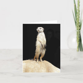 Meerkat Love Feestdagen Kaart