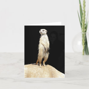Meerkat Love Feestdagen Kaart