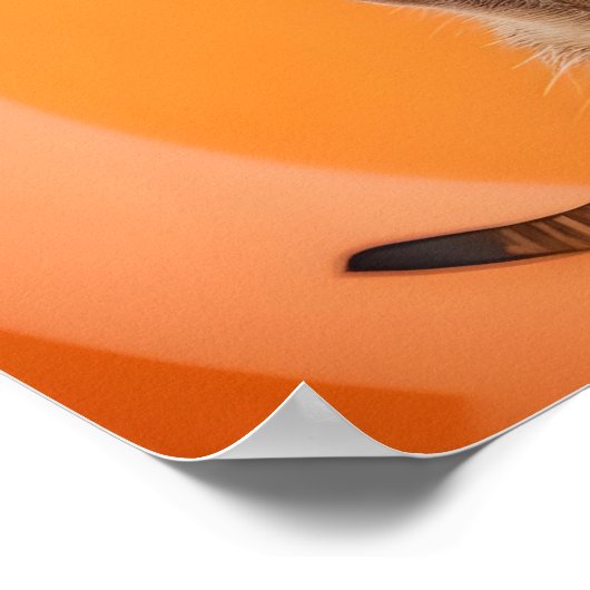 Meerkat maakt stop handgebaar poster (Hoek)