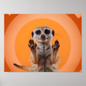 Meerkat maakt stop handgebaar poster (Voorkant)