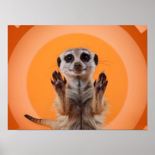Meerkat maakt stop handgebaar poster (Voorkant)