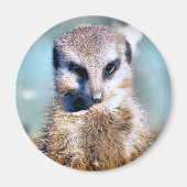 MEERKAT MAGNEET (Voorkant)