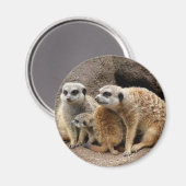meerkat magneet (Voorkant / Achterkant)