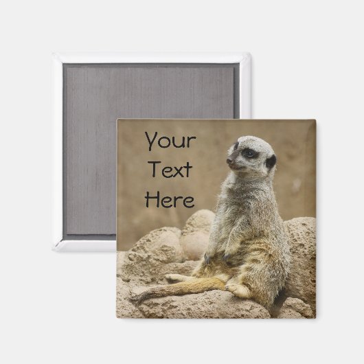 Meerkat Magnet (Voorkant / Achterkant)