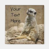 Meerkat Magnet (Voorkant)