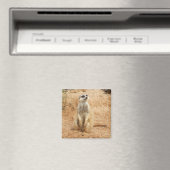 Meerkat Magnet (Insitu (Vaatwasser))