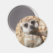 Meerkat Magnet (Voorkant / Achterkant)