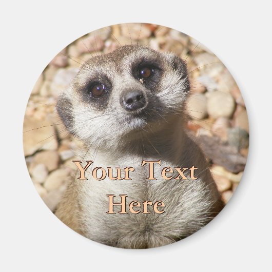 Meerkat Magnet (Voorkant)