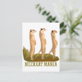 Meerkat Mania Briefkaart (Staand voorkant)