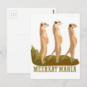 Meerkat Mania Briefkaart (Voorkant / Achterkant)