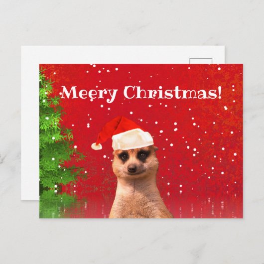 Meerkat Merry Kerstfeest Funny Briefkaart (Voorkant / Achterkant)