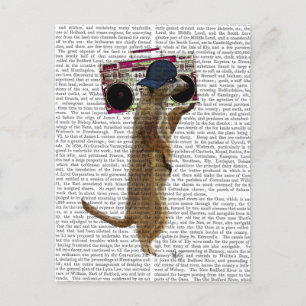 Meerkat met getto Blaster 2 van de Boom Box Briefkaart