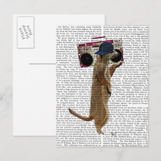 Meerkat met getto Blaster 2 van de Boom Box Briefkaart (Voorkant / Achterkant)