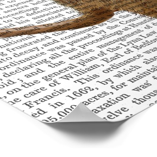 Meerkat met getto-blaster van de zoomdoos poster (Hoek)