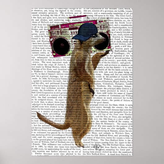 Meerkat met getto-blaster van de zoomdoos poster (Voorkant)