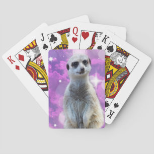 Meerkat Met Glitters, Pokerkaarten