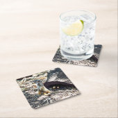 Meerkat met haar Kinder, papieren Onderzetters (Insitu)