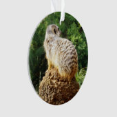 Meerkat met hoge Uitzichten, Ornament (voorkant)