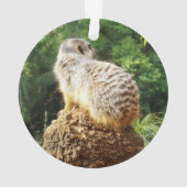 Meerkat met hoge Uitzichten, Ornament (achterkant)