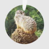 Meerkat met hoge Uitzichten, Ornament (voorkant)