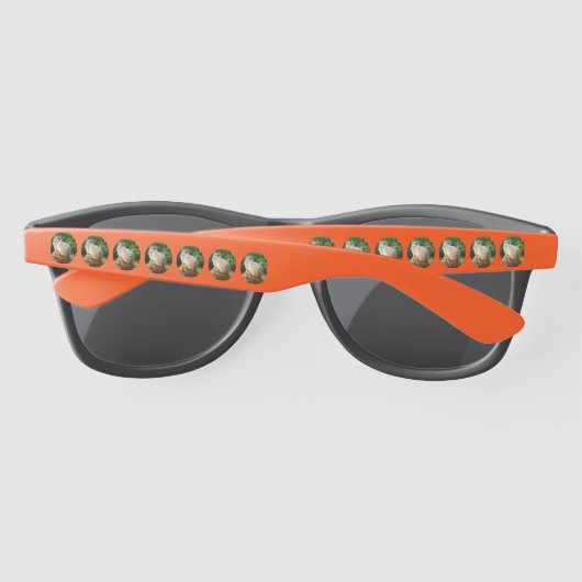 Meerkat met hoge Uitzichten, zonnebril (Achterkant)