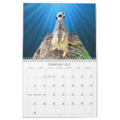 Meerkat met Style USA Feestdagen 2019, Kalender (Feb 2027)