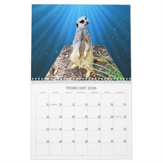 Meerkat met Style USA Feestdagen 2019, Kalender (Feb 2026)