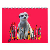 Meerkat met Style USA Feestdagen 2019, Kalender (Hoes)