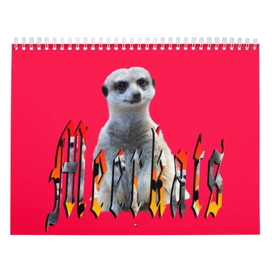 Meerkat met Style USA Feestdagen 2019, Kalender (Hoes)