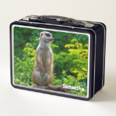 Meerkat Metalen Lunchbox (Achterkant)