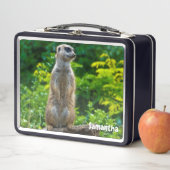 Meerkat Metalen Lunchbox (In situ)